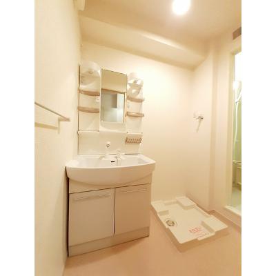 セレーノ 103【管理NO：1-019279401-01030】 ★家具家電は申し込み後に搬入します★の物件画像