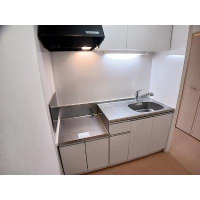 秋桜 102【管理NO：1-020531601-01020】 ★家具家電は申し込み後に搬入します★の物件画像
