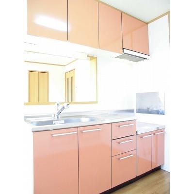プラシード緑ヶ丘 202【管理NO：1-012009301-02020】 ★家具家電は申し込み後に搬入します 2026年07月下旬入居可能の物件画像