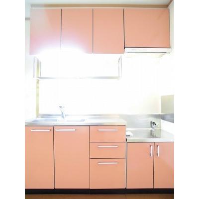 リトル　マーシュ　Ⅱ 102【管理NO：1-012858002-01020】 ★家具家電は申し込み後に搬入します 2026年07月上旬入居可能の物件画像
