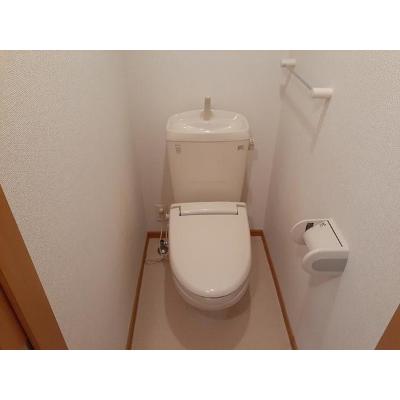 カーサプリムラ 105【管理NO：1-015288801-01040】 2026年08月下旬入居可能の物件画像