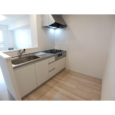 カーチス 203【管理NO：1-027373801-02030】 ★家具家電は申し込み後に搬入します★の物件画像