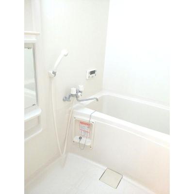 サンライズコート 101【管理NO：1-013556101-01010】 2026年08月上旬入居可能の物件画像