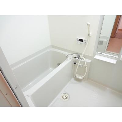 サン・ガーデン 202【管理NO：1-013779601-02020】 2026年09月上旬入居可能の物件画像