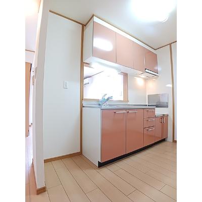 ファインロイテⅣ 201【管理NO：1-013299402-02010】 ★家具家電は申し込み後に搬入します★の物件画像