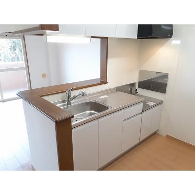 カイラス・ドルフ 203【管理NO：1-010681801-02030】 ★家具家電は申し込み後に搬入します★の物件画像
