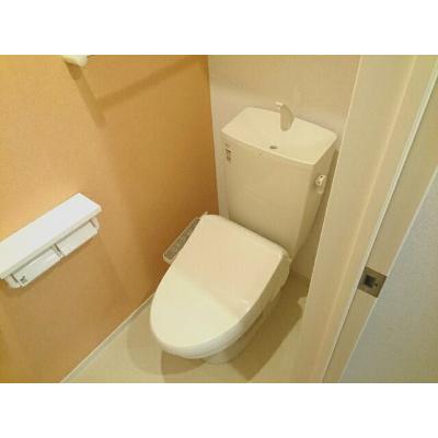 トイロハイツ藤Ⅰ 202【管理NO：1-024968301-02020】 2026年08月中旬入居可能の物件画像