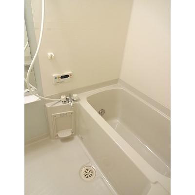 カーサＡＮ（アン） 302【管理NO：1-014119801-03020】 2026年08月中旬入居可能の物件画像
