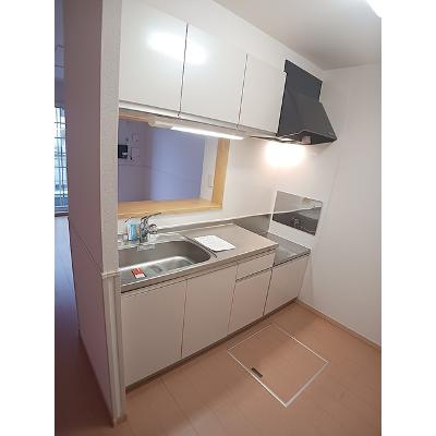 Ｈ＆Ｐ 102【管理NO：1-016935301-01020】 ★家具家電は申し込み後に搬入します★の物件画像