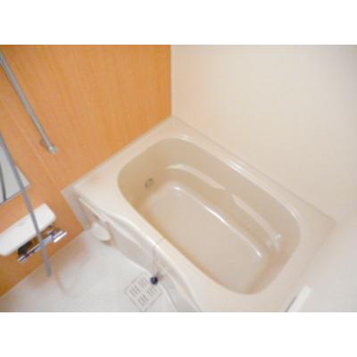 Ｃａｓａ　　Ｏｒｔｏ 104【管理NO：1-024444601-01040】 2026年07月中旬入居可能の物件画像
