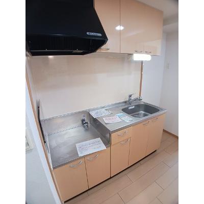Ｃａｓａ 205【管理NO：1-014154501-02040】 2026年08月下旬入居可能の物件画像