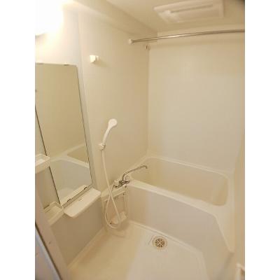 Ｃａｓａ 205【管理NO：1-014154501-02040】 2026年08月下旬入居可能の物件画像