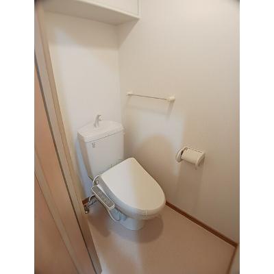 Ｃａｓａ 205【管理NO：1-014154501-02040】 2026年08月下旬入居可能の物件画像