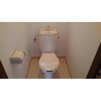 シャトーペガサス 101【管理NO：1-005175901-01010】 2026年08月上旬入居可能の物件画像