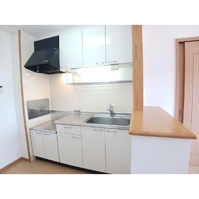 エレガンス 202【管理NO：1-015000201-02020】 ★家具家電は申し込み後に搬入します 2026年07月中旬入居可能の物件画像