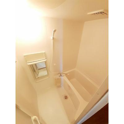 イマージュ 202【管理NO：1-010305401-02020】 ★家具家電は申し込み後に搬入します 2026年09月中旬入居可能の物件画像