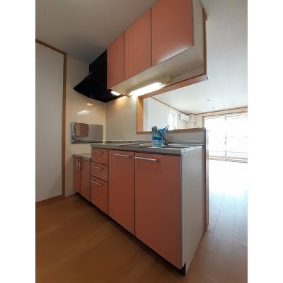 森の時計 205【管理NO：1-013114101-02040】 ★家具家電は申し込み後に搬入しますの物件画像