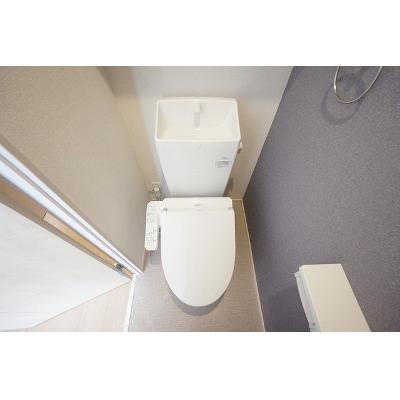 ボスカート　Ｆ． 203【管理NO：1-025984001-02030】 ★家具家電は申し込み後に搬入します★の物件画像