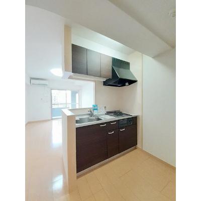 Ｓｏｌ　Ｌｅｖａｎｔｅ　国府 301【管理NO：1-017243501-03010】 ★家具家電は申し込み後に搬入しますの物件画像