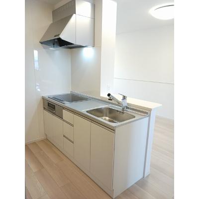 アルタイル８６７ 202【管理NO：1-027933601-02020】 ★家具家電は申し込み後に搬入します★の物件画像