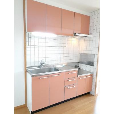 グラスワンダー　Ｎ－４８ 203【管理NO：1-012444601-02030】 ★家具家電は申し込み後に搬入します 2026年08月上旬入居可能の物件画像