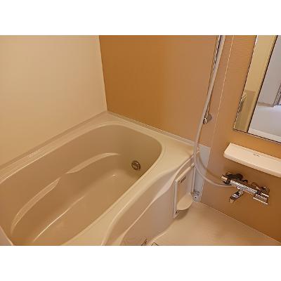 カーサプラシード　Ⅲ 102【管理NO：1-021117001-01020】 ★家具家電は申し込み後に搬入します★の物件画像