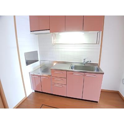 フラワーＡ 103【管理NO：1-012539301-01030】 ★家具家電は申し込み後に搬入します★の物件画像