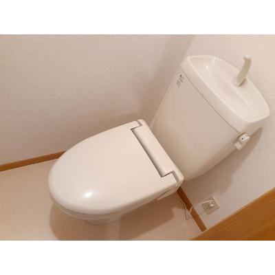 ヒルサイドオーク 202【管理NO：1-012686601-02020】 2026年08月上旬入居可能の物件画像