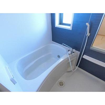 サンライトセクションＡ 203【管理NO：1-016396401-02030】 ★家具家電は申し込み後に搬入します 2026年08月下旬入居可能の物件画像