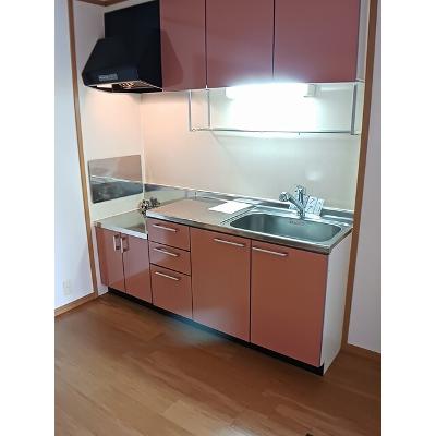 アンソレイエ　コリーヌⅡ 101【管理NO：1-012988602-01010】 ★家具家電は申し込み後に搬入しますの物件画像