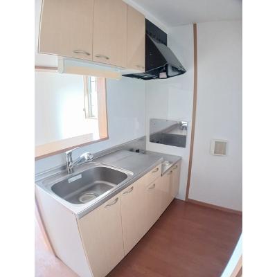 プラシード 203【管理NO：1-014454801-02030】 ★家具家電は申し込み後に搬入します★の物件画像