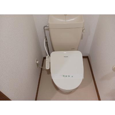 ウィル 204【管理NO：1-010437801-02040】 ★家具家電は申し込み後に搬入します★の物件画像