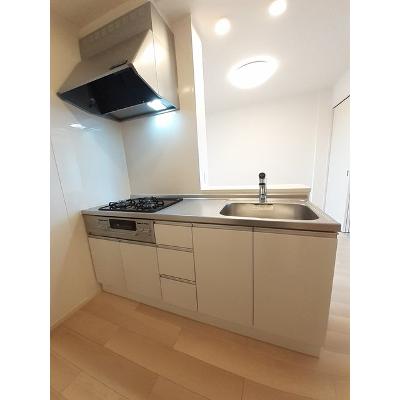 サンテック 202【管理NO：1-026820001-02020】 ★家具家電は申し込み後に搬入します★の物件画像