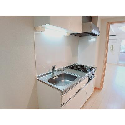 カモミール 303【管理NO：1-018112301-03030】 ★家具家電は申し込み後に搬入します★の物件画像