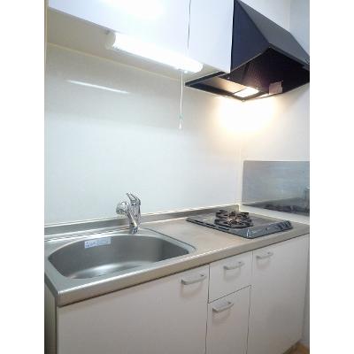 ラフレシール 203【管理NO：1-016009801-02030】 ★家具家電は申し込み後に搬入しますの物件画像
