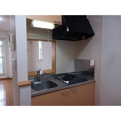 アイリス　Ｃ 203【管理NO：1-013711901-02030】 ★家具家電は申し込み後に搬入します 2026年07月下旬入居可能の物件画像