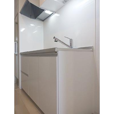 ヒカルサ静岡春日町 303【管理NO：1-028508701-03030】 ★家具家電は申し込み後に搬入します★の物件画像