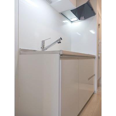 ヒカルサ静岡春日町 205【管理NO：1-028508701-02040】 ★家具家電は申し込み後に搬入します★の物件画像