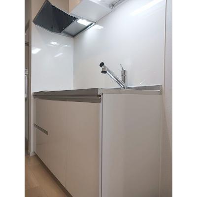 ヒカルサ静岡春日町 103【管理NO：1-028508701-01030】 ★家具家電は申し込み後に搬入します★の物件画像