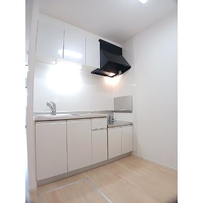 ファイン　ブリーゼ 101【管理NO：1-022055201-01010】 ★家具家電は申し込み後に搬入しますの物件画像