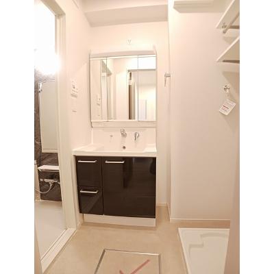 ブリリアンス 302【管理NO：1-028227101-03020】 ★家具家電は申し込み後に搬入しますの物件画像