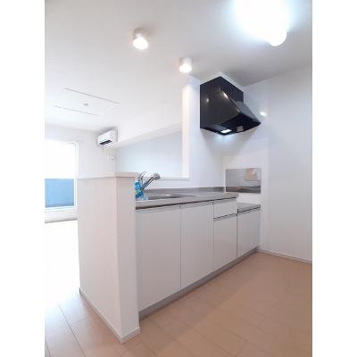 ディオーネ・ジエータ紀ノ川Ⅱ 202【管理NO：1-017846801-02020】 ★家具家電は申し込み後に搬入します 2026年09月上旬入居可能の物件画像
