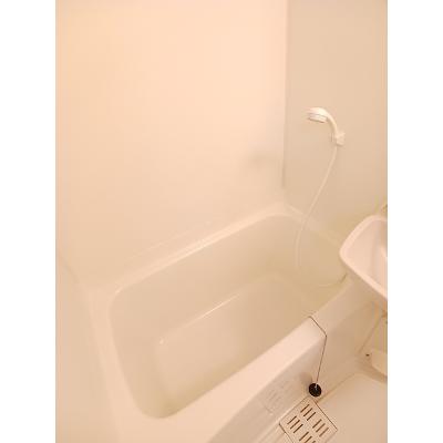アヴィニールＡ 203【管理NO：1-009685101-02030】 ★家具家電は申し込み後に搬入します★の物件画像