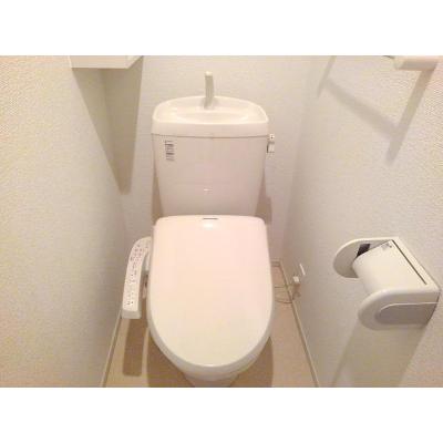 グラン・シャリオ 203【管理NO：1-017508201-02030】 ★家具家電は申し込み後に搬入します★の物件画像