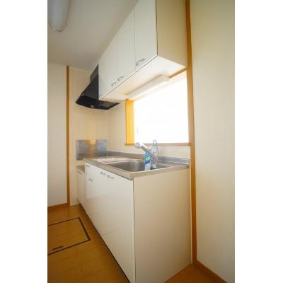 エレガンシア 102【管理NO：1-014891201-01020】 ★家具家電は申し込み後に搬入します 2026年08月上旬入居可能の物件画像