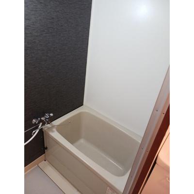 パルシャス２１ 303【管理NO：1-002468701-03030】 ★家具家電は申し込み後に搬入します★の物件画像