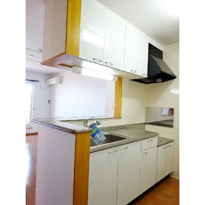 ポラリス 203【管理NO：1-014028701-02030】 ★家具家電は申し込み後に搬入します 2026年08月下旬入居可能の物件画像