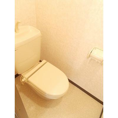 ニューハイツ柿沢 201【管理NO：1-007620401-02010】 ★家具家電は申し込み後に搬入します★ ★2026年08月中旬入居可能★の物件画像