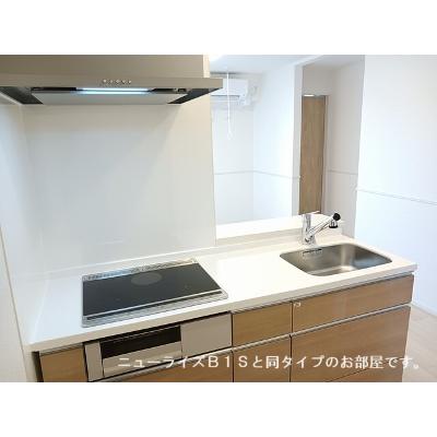 ブリーゼ　メゾンⅡ 205【管理NO：1-028576201-02050】 ★家具家電は申し込み後に搬入します 2026年12月中旬入居可能の物件画像