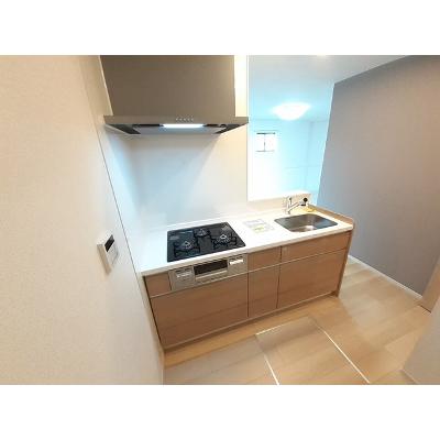 フォーチュンパーク 102【管理NO：1-026962201-01020】 ★家具家電は申し込み後に搬入します 2026年07月下旬入居可能の物件画像